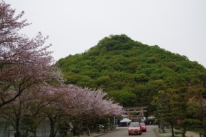桜並木の護国神社と御幸寺山
