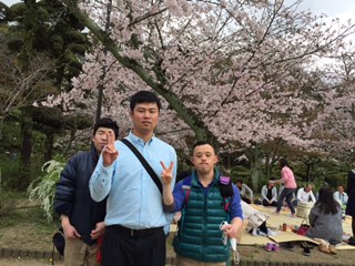 道後公園　お花見風景1