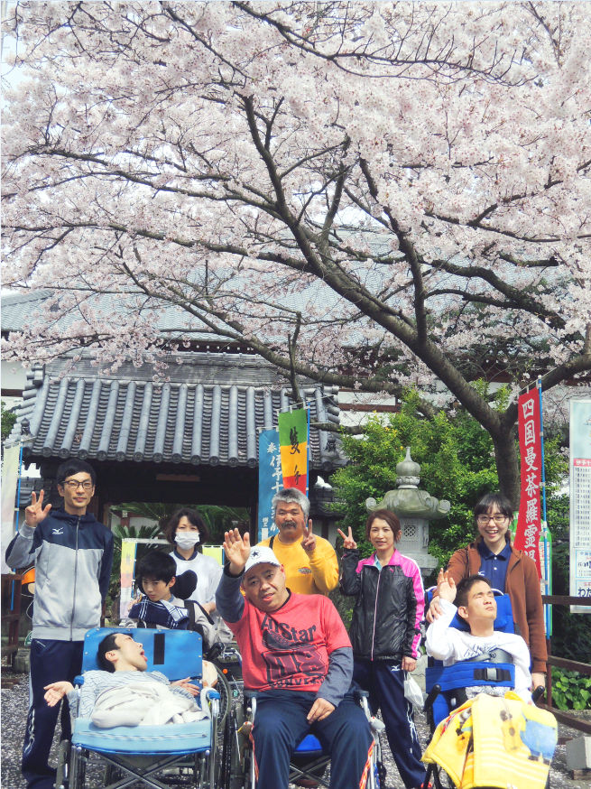 桜散策の写真