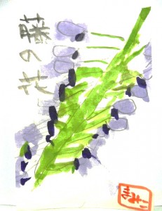 絵手紙　藤の花