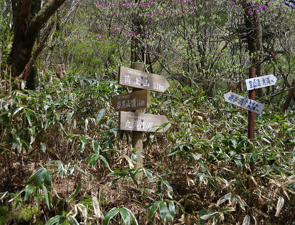 岩黒山への道標