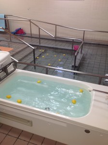 レモンを浮かべた湯船と特浴の浴槽