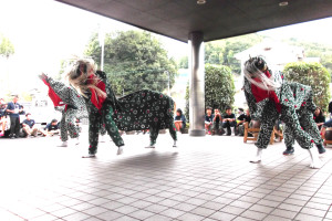獅子舞の写真