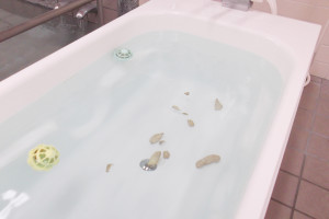 スライスした生姜を湯船に浮かべている写真