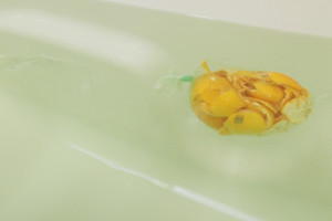 蜜柑の皮を入れてお湯がうっすら緑色に色づいている写真