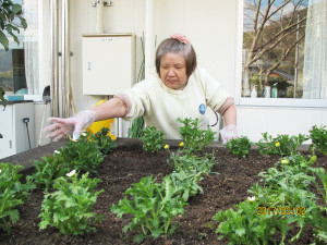 園芸活動