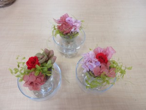 IMG_311155