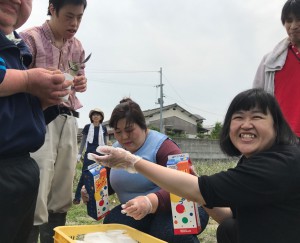 玉ねぎ7