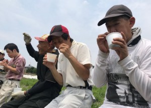 玉ねぎ8