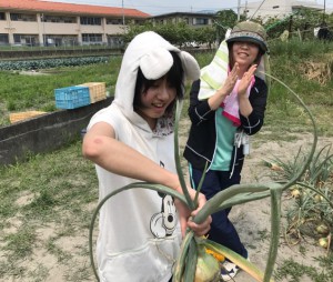 玉ねぎ5