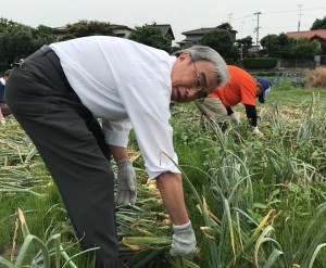 玉ねぎ6