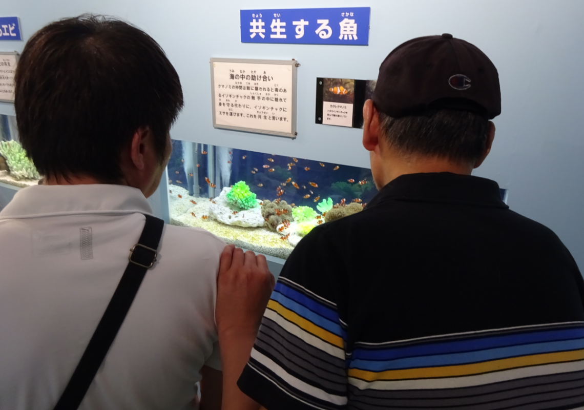 水族館⑦