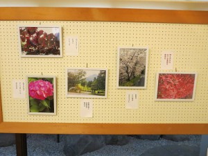 IMG_0946