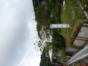 ★吉平屋敷跡十六日桜