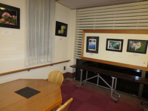 IMG_3598