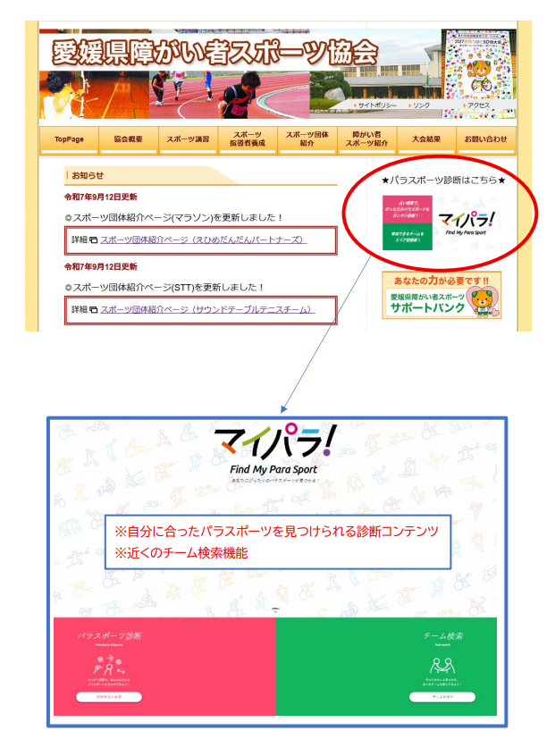 マイパラ