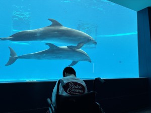 IMG_7505