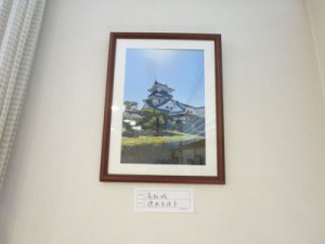 IMG_3905