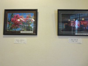 IMG_3906