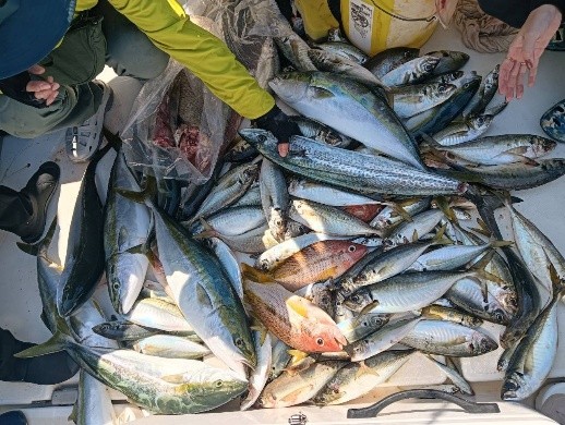 釣り25