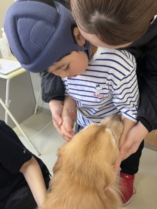 IMG_8861